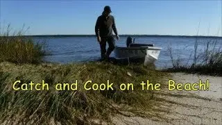 Catch and Cook Fish on the Beach
