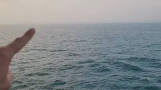 Mystery in the Gulf of Mexico
