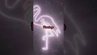 Motivational Flamingo Says | Pink Feathers, Strong Spirit: Be Like a Flamingo 🦩
