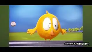 Where's chicky all Season 1 endings