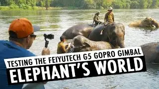 Testing Feiyutech G5 GoPro HERO5 Gimbal at Elephant's World | RehaAlev