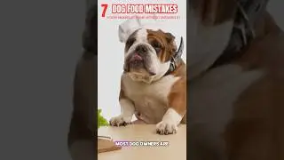 7 Hidden Feeding Mistakes That Are Shortening Your Dog&rsquo;s Life