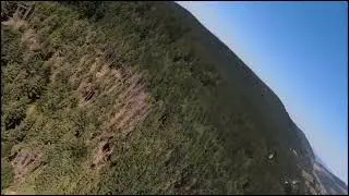 DJI FPV au dessus des bois communal de fraize , Vosges