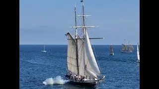 Cannon Battles, Maritime Festival, Dana Point, California