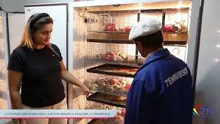 O T&Acirc;NĂRĂ DIN RUBLENIȚA, A PUS PE ROATE O AFACERE CU PREPELIȚE