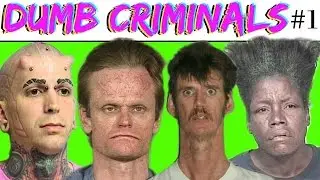 COPS VS DUMB CRIMINALS - DUMBEST CRIMINALS - BEST OF COPS - STUPID CRIMINALS - FUNNIEST COPS MOMENTS