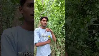 tutorial fast moving filter 🔥😈 #moneylove #funny #time #moving #filter #trending