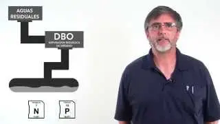 2.5. Tratamiento Terciario de aguas residuales con Algas