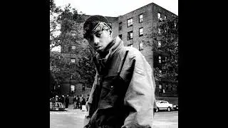 Nas Boom Bap Type Beat 