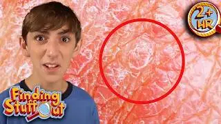 Did You Know This About The Human Skin! Full Episodes | Finding Stuff Out | Scholastic After School