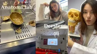 DİŞ HEKİMLİĞİ VLOG 7 || lab günü 🧪 Marmara’da okumak, gittikçe zorlaşan dersler 📚