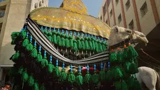 موكب عزاء شباب الإمام الحسن أهالي الشعله دخول الضعن إلى كربلاء لاتنسى الاشتراك بلقناة