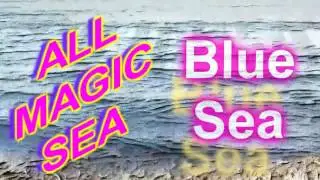 SEA MAGIC 1 BLU 1HOUR