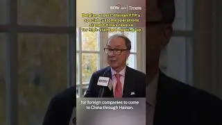Belgian expert: Hainan FTP's special customs operations signal China's resolve for opening-up