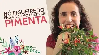 N&ocirc; Figueiredo Ensina Como Cultivar Pimenta
