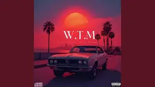 W.T.M (feat. Blkout407 & Chels)