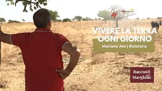 Vivere la terra | Mariano Are, Bolotana Racconti | Racconti dal Marghine