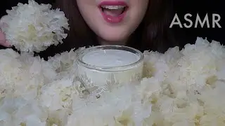 HEALTHY EATING ASMR Raw Veggie Platter [Snow Fungus & Ranch] EXTREMELY SATISFYING Crunchy Sounds!