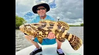 Summer madness |Scott Bruce and TJ | Rhino Diaries