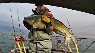 The Catfish Bite is on Fire at LAKE MOULTRIE SANTEE COOPER