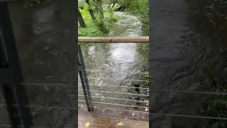 #природа#прогулки#звукиприроды#natures#asmrnature#asmr#пениептиц#река#парк#последождя#россия#russia