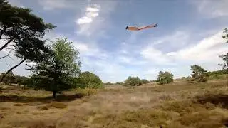 Chasing the specwing