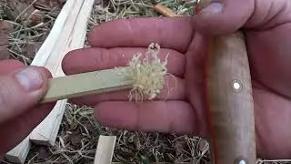 90 Degree Spines and Why They are so Cool!