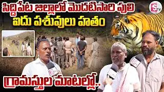 Tiger Hulchal In Siddipet : 10 అడుగుల దూరంలో పులి.. గ్రామస్తులు చెప్పిన షాకింగ్ నిజాలు | Tiger Alert