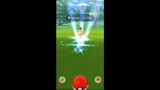 Shiny Spoink! Pokemon Go! #pokemon #pokemongo #shiny #catch #gaming #gamer #dinothug #games #game
