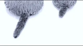 Petit Qoobo INTRODUCTION