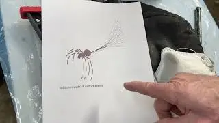 10 Feb 2023  How the square cube law helps spiders to ballon and most likely me to handle storms.