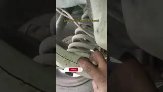 Suzuki cultus spring