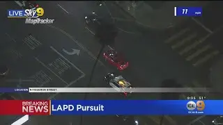 Reckless Driving Suspect Evades LAPD Officers