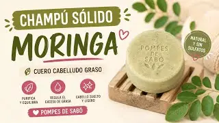 Champú sólido: Cuero cabelludo GRASO puntas SECAS 🦄