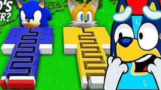 BLUEY RÉAGIT aux LABYRINTHES de SONIC et TAILS sur Minecraft !