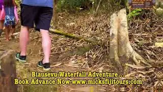 Biausevu Waterfall Adventure&hellip;