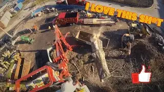Dead oak removal with a spider lift
