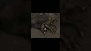 Weirdest creatures I&rsquo;ve ever seen while playing #skyrim #skyrimshorts