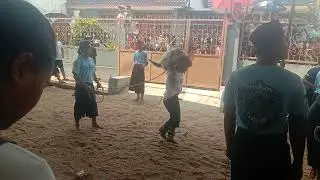 pul kalapan purta mugal