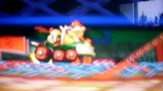 Fakies With Bowser And MiniBowser