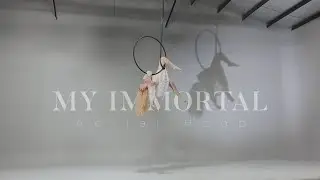 My Immotal - Evanescence on Aeril Hoop | Joy Aerial (edit version)