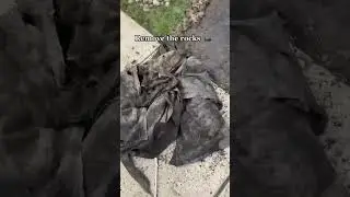 How to Remove Weeds in a Garden Rock bed⛲️
