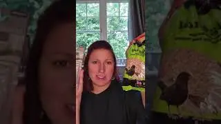 Twinkl Parents Bird Watching Hack