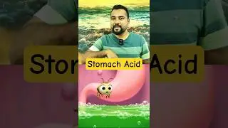 Stomach Acid can Dissolve Metal 🤯