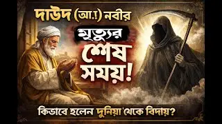দাউদ (আ.) নবীর ইন্তেকালের হৃদয়স্পর্শী ঘটনা | Quranic Story@udcmedia_mindiman