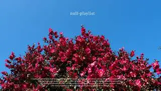 [Playlist] 생각이 많은 날 머리 비우는 재즈 플레이리스트 | null-playlist 널플리