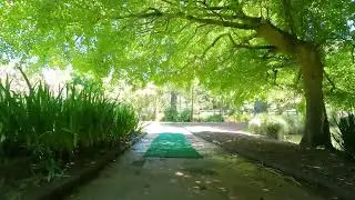 Walk with me - Auckland Domain Gardens and Duck Pond - 2025-12-06