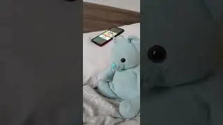 Poor little bug on the wall featuring teddy 