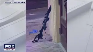 Police kill man pointing military-style rifle at drivers in Tarpon Springs