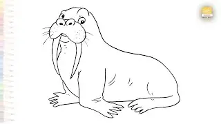 Walrus easy  drawings | Water animal drawings | How to draw A Walrus step by step simply #artjanag